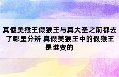 真假美猴王假猴王与真大圣之前都去了哪里分辨 真假美猴王中的假猴王是谁变的